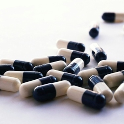 1137314_large.jpg?v\u003d1768682587462